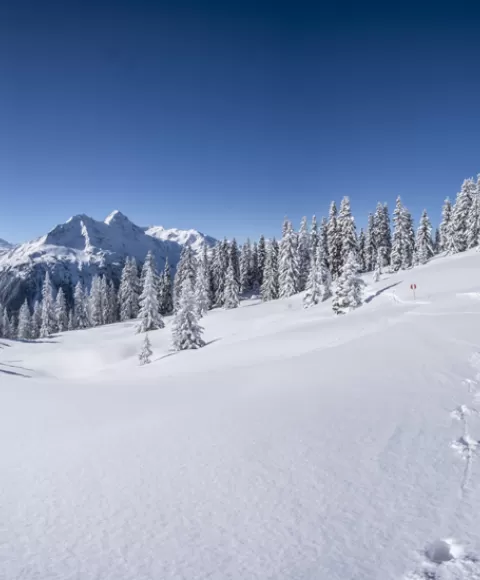 Station de ski Val d'Allos le Seignus